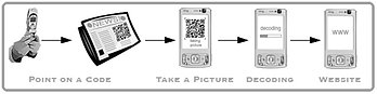 image resized 600
