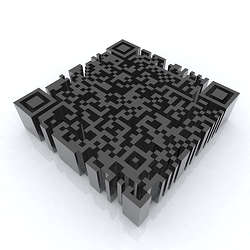 describe the image